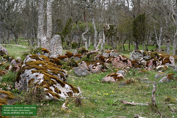 Mossa på stenar i hage på Gotland